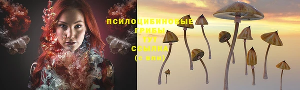 молекула духа Ачинск