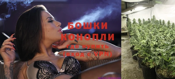 прущая мука Лагань