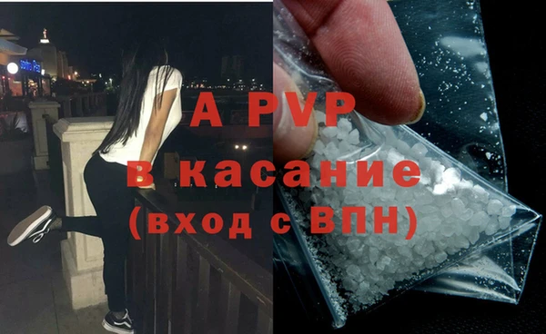 амф Бердск