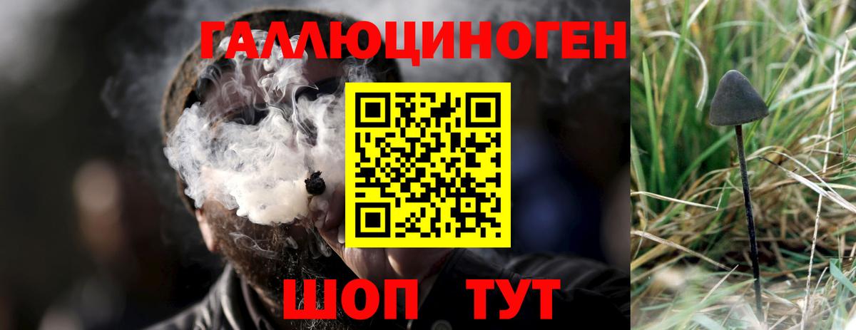 Псилоцибиновые грибы прущие грибы Феодосия